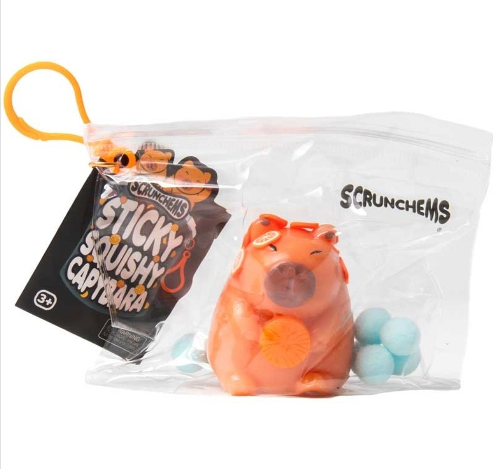 Squishy Capybara Taba